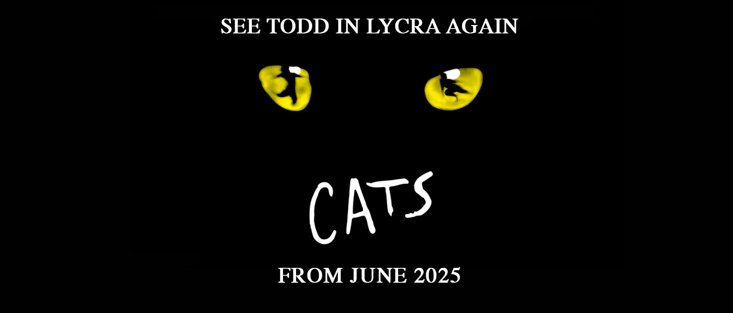 Todd McKenney in cats
